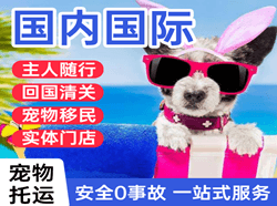 阳江合山航空邮寄国际宠物托运 【国